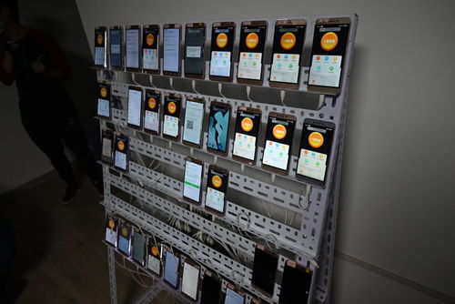 数百万社交账号沦为电诈工具 起底背后的“账号加工厂”与数字广告黑产链